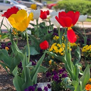 Meet your Posher, Leonor